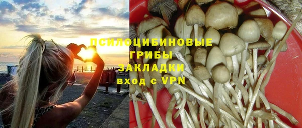 трава Осташков