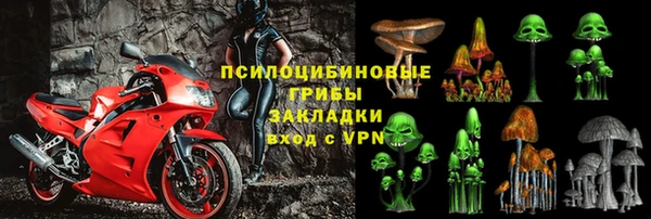 первитин Осинники