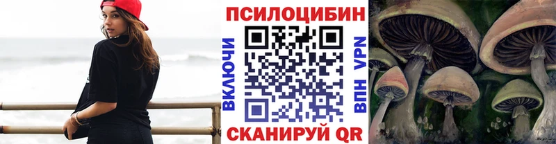 Псилоцибиновые грибы Magic Shrooms  Купить  Дятьково 